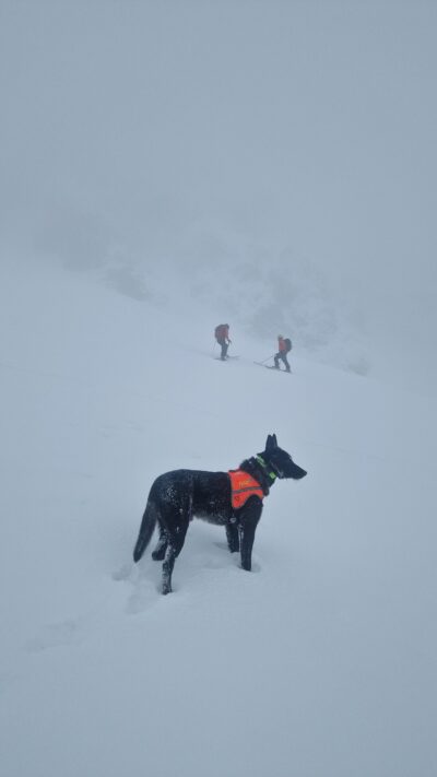 Poszukiwania Turysty w Tatrach