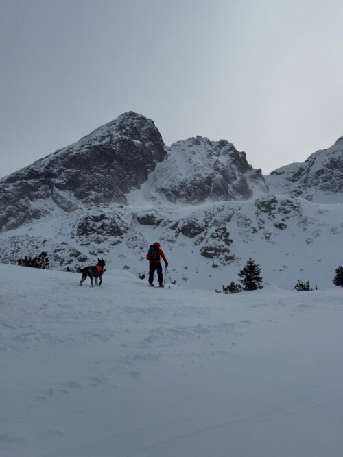 Kolejny dzień poszukiwań zaginionego turysty
