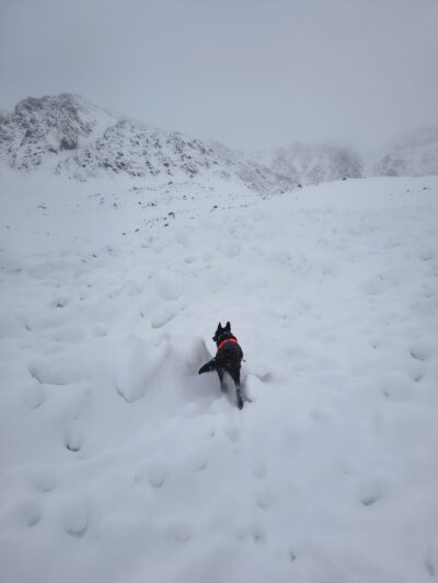 Poszukiwania turysty w rejonie Orlej Perci