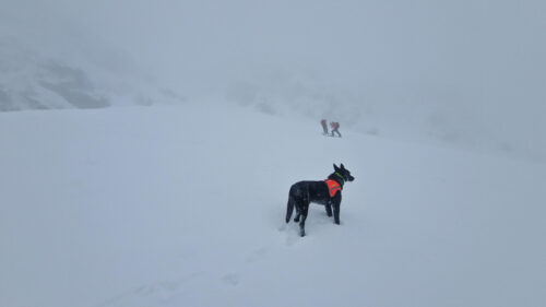 Poszukiwania Turysty w Tatrach